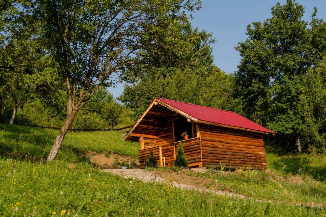 Hotel La 3 Stejari, Calimanesti Salatrucel Exterior foto