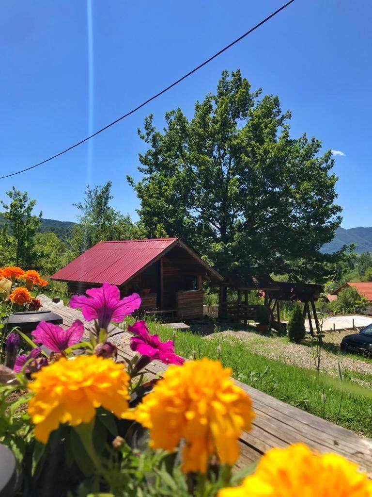 Hotel La 3 Stejari, Calimanesti Salatrucel Exterior foto
